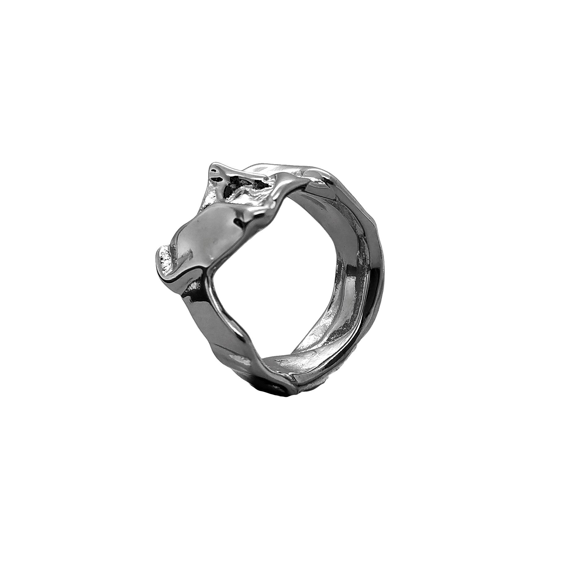 Fragment(1) Ring