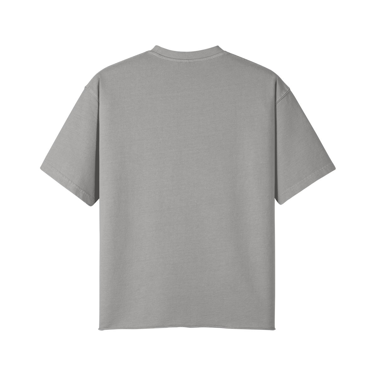 ICSIA Raw Cut T-shirt